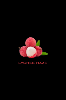 Lychee Haze